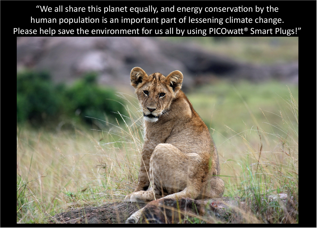 Lion cub talks about the PICOwatt® Smart Plug