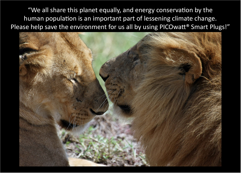 Lions talk about the PICOwatt® Smart Plug