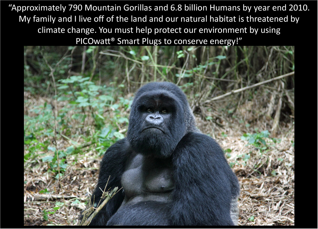 Silver Back Mountain Gorilla talks about the PICOwatt® Smart Plug